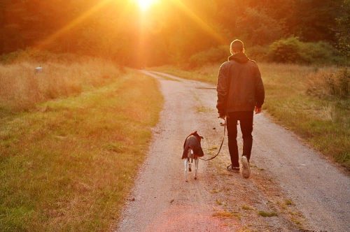 De beste zaklamp om je hond in het donker uit te laten